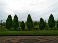 the beauty of the garden with mini trees that are neatly lined up