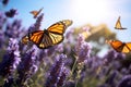 Beauty garden summer flower violet nature purple butterfly lavender plant field macro Royalty Free Stock Photo