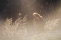 Beauty Girl Outdoors enjoying nature. Beautiful Teenage Model girl with long healthy blowing hair running on the Spring Field, Sun Royalty Free Stock Photo