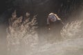 Beauty Girl Outdoors enjoying nature. Beautiful Teenage Model girl with long healthy blowing hair running on the Spring Field, Sun Royalty Free Stock Photo