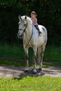 Beauty girl riding bareback by gray horse Royalty Free Stock Photo