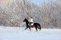 Beauty girl riding her horse through snow fields Royalty Free Stock Photo