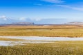 Beauty of glass field during winter with clear blue sky Royalty Free Stock Photo