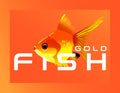 Beauty goldfish vector