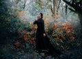 Beauty Gothic princess walks in autumn forest. Fantasy mystical dark backdrop.