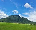 Beauty Green Hill and Rice Field