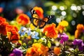 Beauty green plant nature insect summer flower garden butterfly yellow Royalty Free Stock Photo