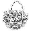 Beauty hand drawn basket of flowers