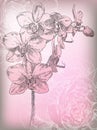 Beauty hand drawn orchid flowers