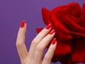 Beauty hands with red fashion manicure and bright flower . Beautiful manicured red polish on nails . Fasionable cosmetics and Royalty Free Stock Photo