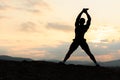 Beauty of human body concept. African american bodybuilder posing at sunset during his outdoor training Royalty Free Stock Photo