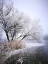 beauty of iced landscape