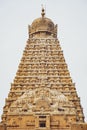 Beauty of Indian Temple Entrance Front Retro look