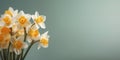 Beauty jonquil flower, beauty garden decoration, copy space background