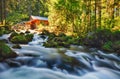 Beauty landscape with river and forest in Austria, Golling