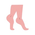 beauty legs isolated. Flat illustration of elegant girl bodies. Body beautiful