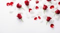 beauty love roses background Royalty Free Stock Photo