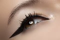 Beauty macro of eye with fashion liner make-up