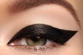Beauty macro of eye with fashion liner make-up Royalty Free Stock Photo