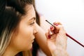 Beauty makeup. Woman shaping eyebrow with brow pencil closeup Royalty Free Stock Photo