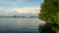 The beauty of mangrove forest ecosystem at Kutai National park, Royalty Free Stock Photo