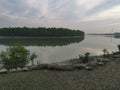 The beauty of Mangrove forest SUNDARBAN.