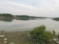 The beauty of Mangrove forest SUNDARBAN.