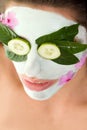 Beauty Mask Royalty Free Stock Photo
