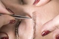Beauty master plucking eyebrows, in the process of work, close-up Royalty Free Stock Photo