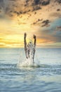 Beauty model girl splashing water on sunset scene.