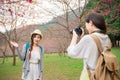 Beauty modern girlfriends sightseeing sakura Royalty Free Stock Photo