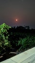 The beauty of the moon at night, with views of green plants