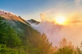 The beauty morning fog, sunrise, trees, mountains Royalty Free Stock Photo