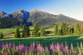 Krása horskej panorámy s kvetmi - Slovensko