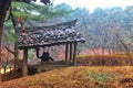 The beauty of Nami Island #southkorea #seoul #goblin #6