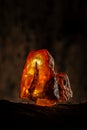 Beauty of natural raw amber. A piece of yellow-red transparent natural amber on piece of stoned wood Royalty Free Stock Photo