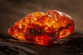 Beauty of natural raw amber. A piece of yellow-red transparent natural amber on piece of stoned wood Royalty Free Stock Photo