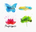 Beauty natural spa symbols butterfly