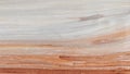 The Beauty of Natural Wood Grain: Split Willow Detail