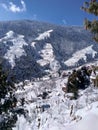 Lovely view of snow fall...at shimla hills Royalty Free Stock Photo