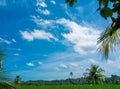 The beauty of nature that amazes the eye with beautiful blue skies and vast green rice fields