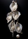 Beauty nature background seashell ocean white pearl shells luxury gift sea closeup