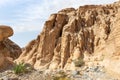 The beauty of nature at the beginning of the tourist route of the gorge Wadi Al Ghuwayr or An Nakhil and the wadi Al Dathneh near