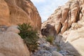 The beauty of nature at beginning of the tourist route of the gorge Wadi Al Ghuwayr or An Nakhil and the wadi Al Dathneh near