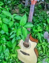 Beauty of Nature holding a Guitar