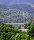 Beauty of nature. Kaptai, Chittagong,Bangladesh