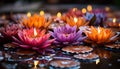 Beauty in nature pink lotus flower floating on water generated by AI Royalty Free Stock Photo