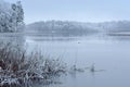 Beauty in nature. Snowy reflections