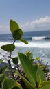 Beauty and nature view at the beauiful beach