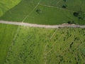 The beauty of the Panorama black tea plantation area Kaligua Paguyangan Brebes Indonesia